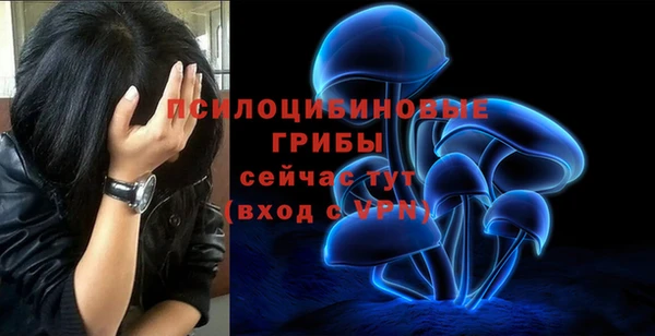 прущая мука Михайловск