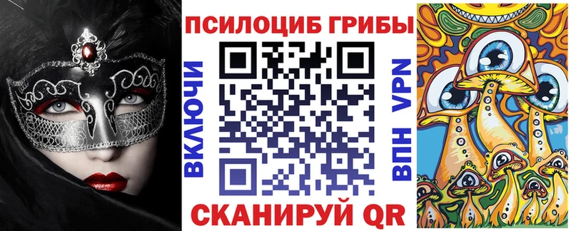 Галлюциногенные грибы Psilocybe  гидра tor  Пугачёв 
